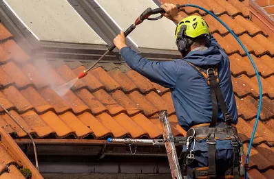 Démoussage et hydrofuge de toiture à Sallebœuf